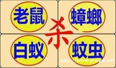 怀化专业灭鼠公司